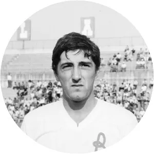 Maurizio Restelli - Italian football player