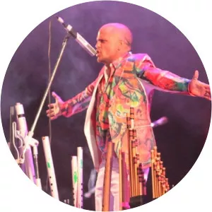 Mauro Coletti Musician