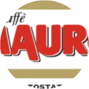 Mauro Demetrio S. p. A. - Company