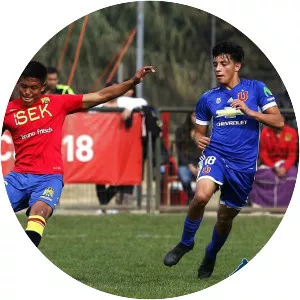 Mauro Jesús Maureira Maureira