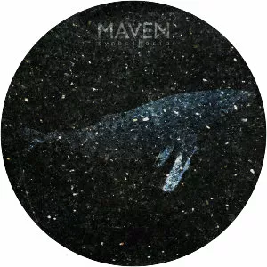 Maven - American professional wrestler