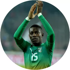 Max-Alain Gradel - Ivorian football player