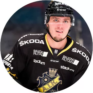 Max Lindholm - Ice hockey player