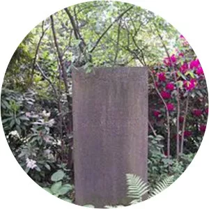 max von pauer heinrich schachtebeck