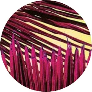 Max Zotti - Musical artist