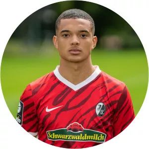 Maximilian Dietz - Footballer