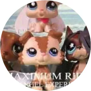 Maximum Ride: The Angel Experiment - Book by James Patterson