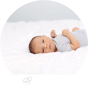 Maximus Stratus Fisico photograph