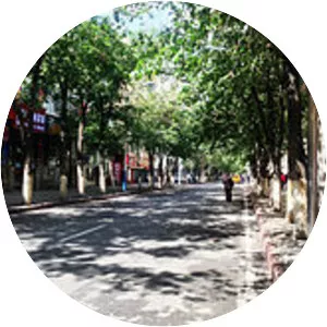 May 2014 Ürümqi attack - 