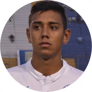 Mayron Ariel Flores Zavala