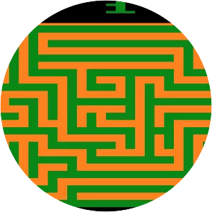 Maze Craze