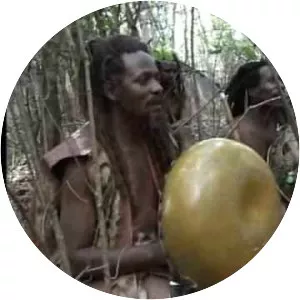 Mbira dzeNharira