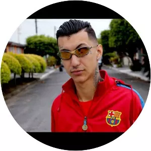 MC Pedrinho JR - Musical artist