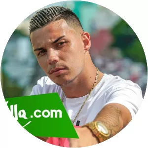 Mc Tedy - Musical artist