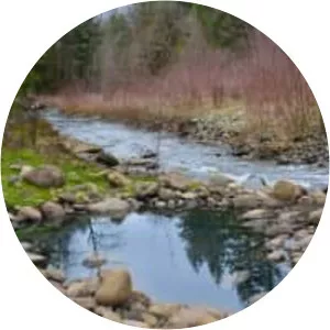 McCredie Hot Springs - Spring in Oregon