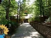 McDowell Nature Preserve - 