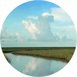 McFaddin National Wildlife Refuge