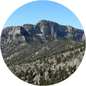 McFarland Peak
