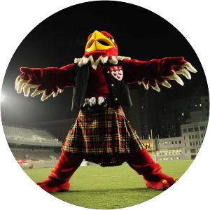 McGill Martlets ice hockey photograph