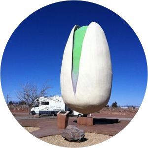McGinn's PistachioLand-World's Largest Pistachio