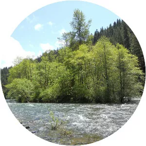 McKenzie River