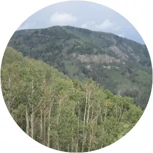 McKnight Mountain - Peak in New Mexico