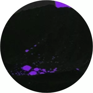 MCTR - Musical artist