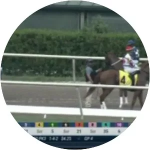 Meadowlands Racing and Entertainment - 