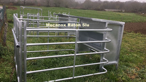 Mecanox Raton - 