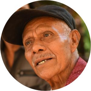 Mechito - Musical artist