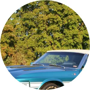 Mecum Auto Auctions: Muscle Cars & More 2010