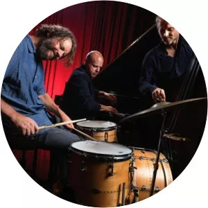 Medeski Martin and Wood