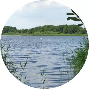 Medeweger See