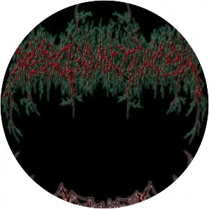 Medic Vomiting Pus - Musical artist