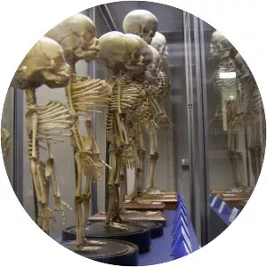 Medical museum - Cultural institute