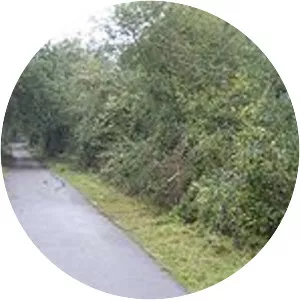 Medina Wharf Halt railway station