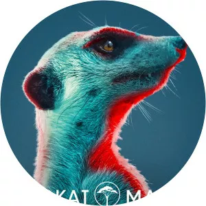 Meerkat Manor: Rise of the DynastySince 2021