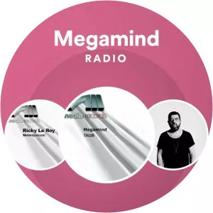 Mega Mind - Musical group