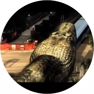 Mega Python vs. Gatoroid