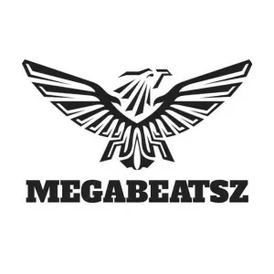 MegaBeatsZ - Musical artist