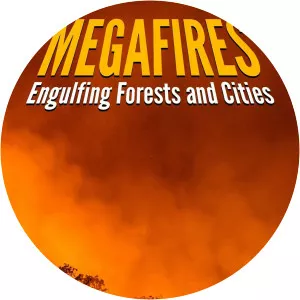 MEGAFIRES: Engulfing Forests and Cities