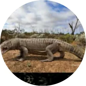 Megalania - Reptile