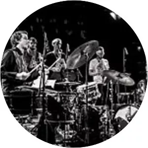 Megalodon Collective