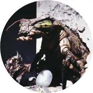 Meganulon photograph