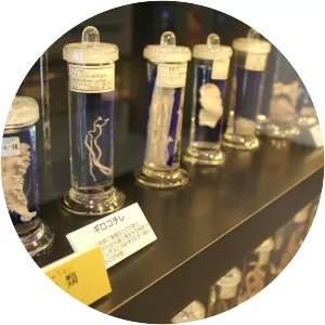 Meguro Parasitological Museum