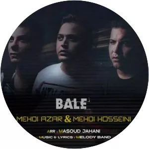 Mehdi Azar & Mehdi Hosseini - Musical artist