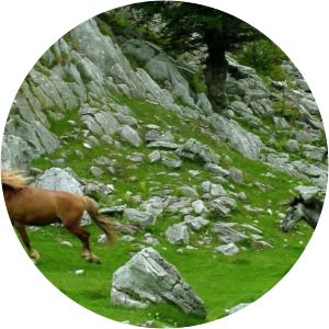 Mehedinți Plateau Geopark - Protected area