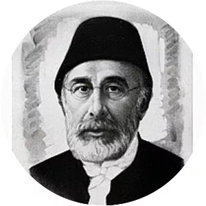 Mehmed Fuad Pasha - Statesman