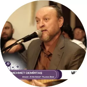 Mehmet Demirtaş