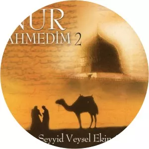 mehmet karakuş seyyid veysel ekinci - Musical artist